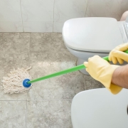 Prestine-Toilet Clean